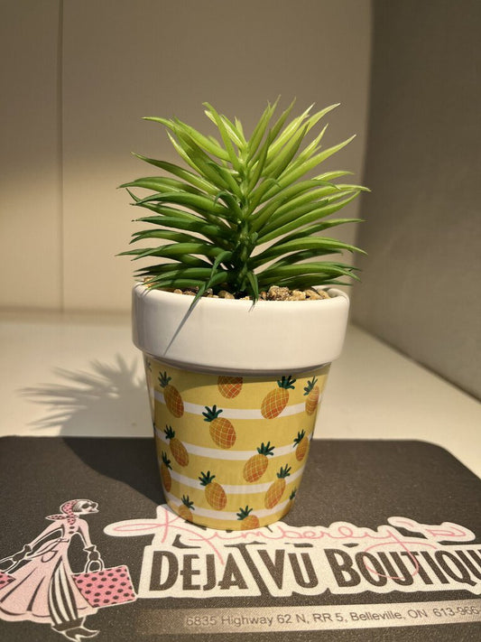 Pineapple Pot With Succulent