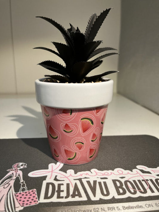 Watermelon Pot With Succulent