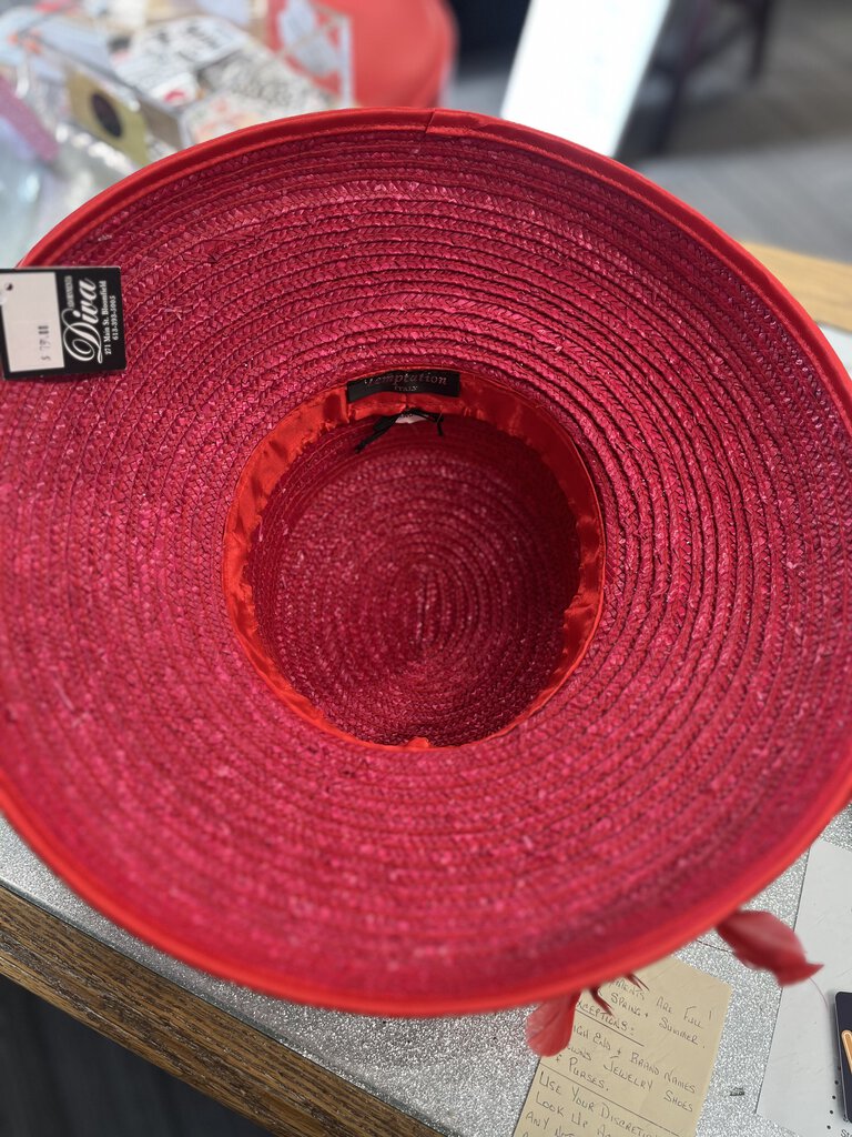 Straw Hat With Feathers